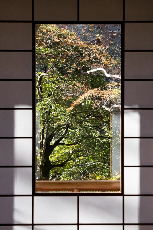 奧田祐齋 · 嵐山祐齋亭
