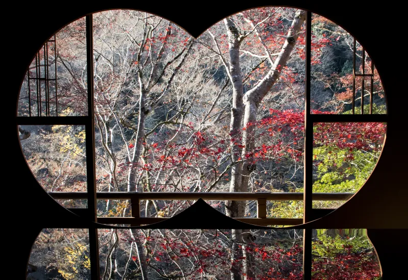 奧田祐齋 · 嵐山祐齋亭