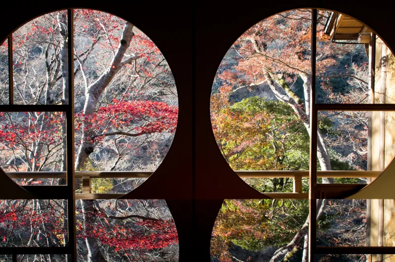 奧田祐齋 · 嵐山祐齋亭