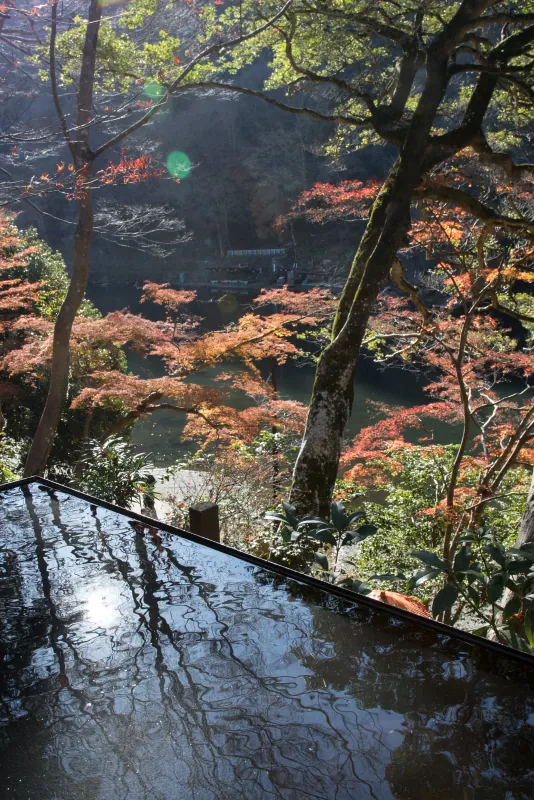 奧田祐齋 · 嵐山祐齋亭