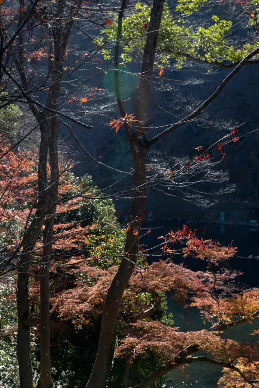 奧田祐齋 · 嵐山祐齋亭
