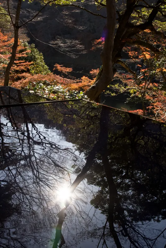 奧田祐齋 · 嵐山祐齋亭