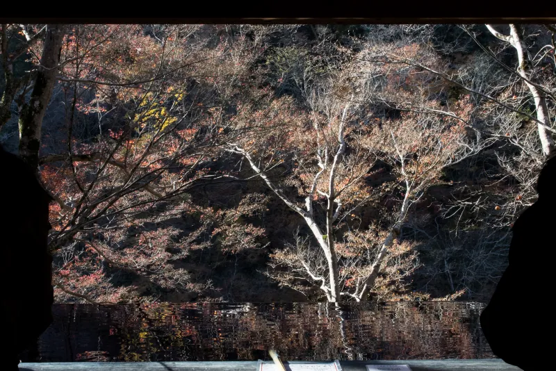 奧田祐齋 · 嵐山祐齋亭