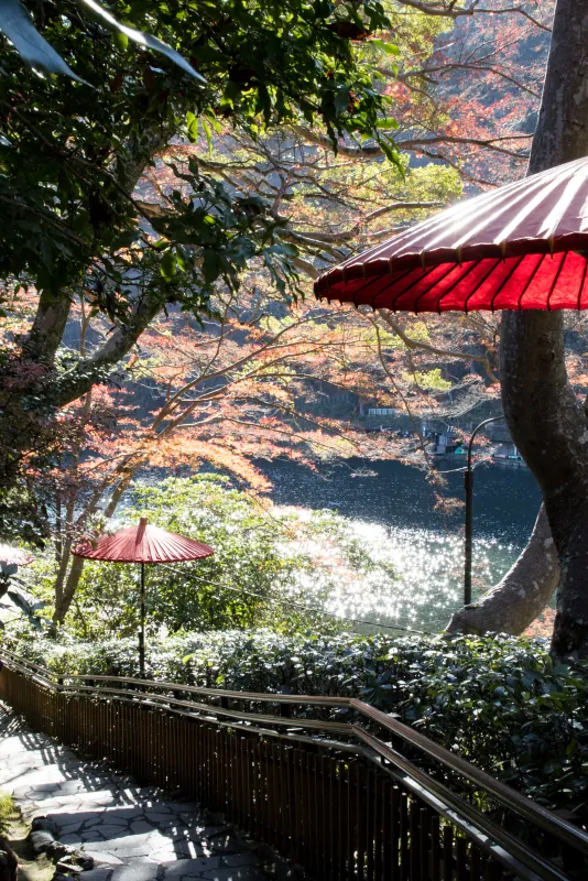 奧田祐齋 · 嵐山祐齋亭