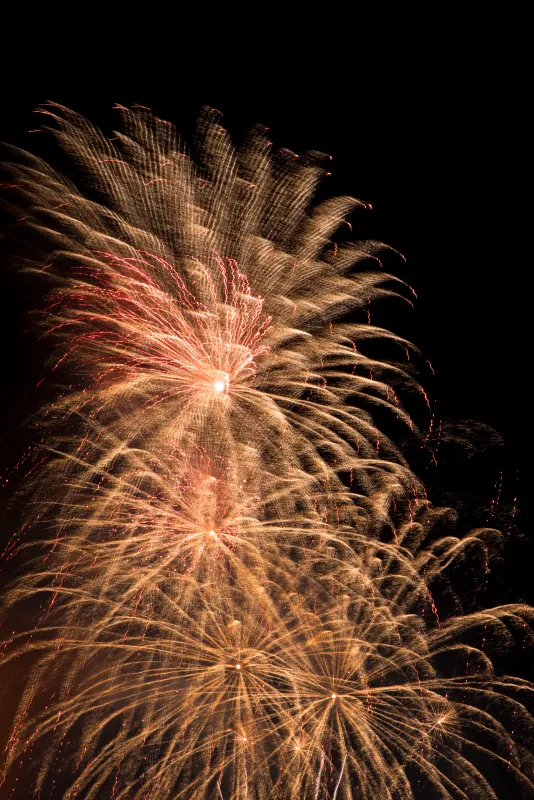 Bonfire Night in London