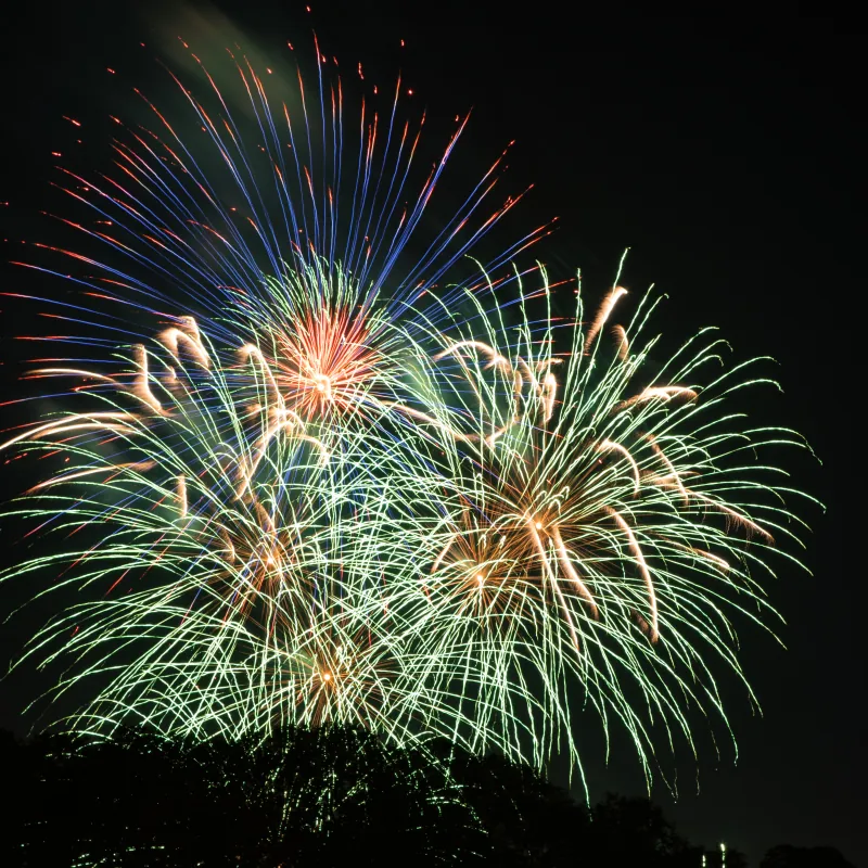 Bonfire Night in London