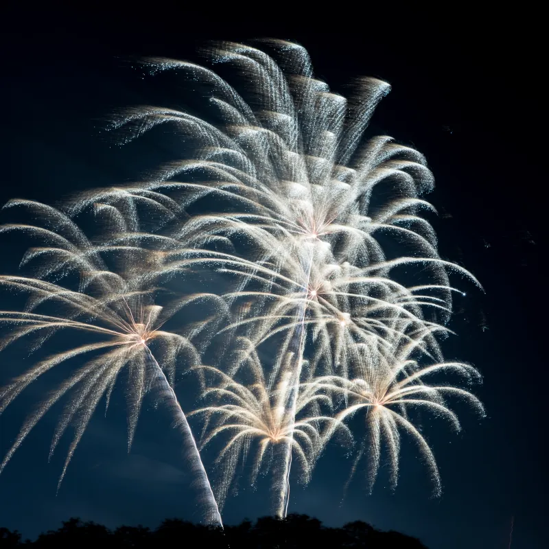 Bonfire Night in London
