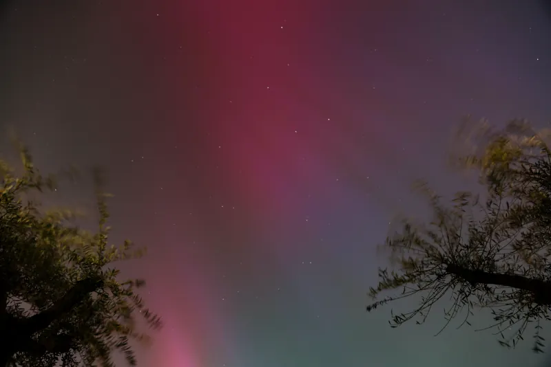 Northern Light in London