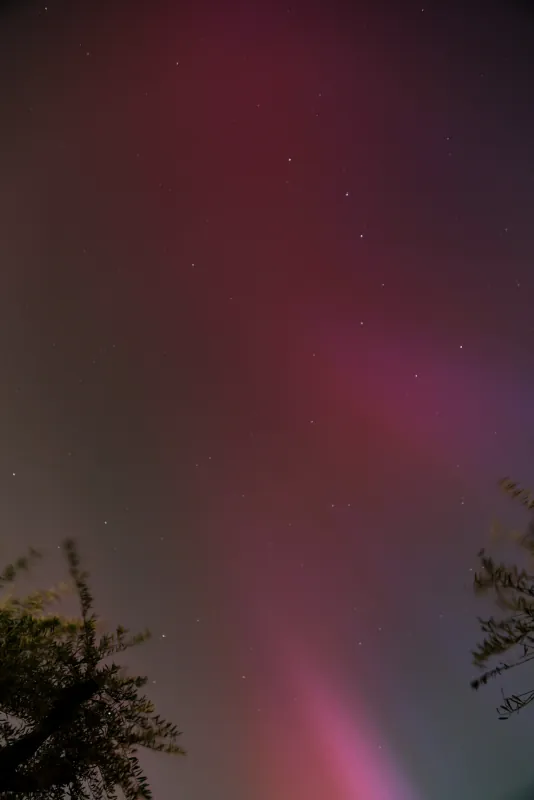 Northern Light in London