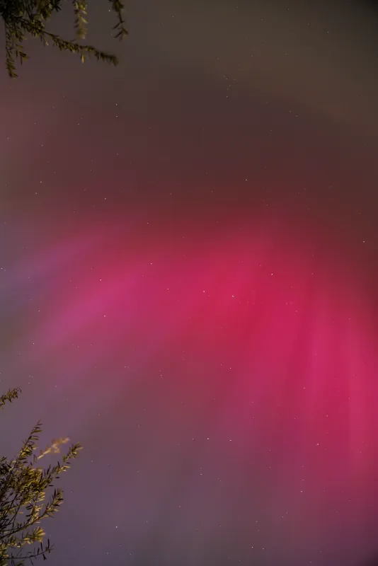 Northern Light in London