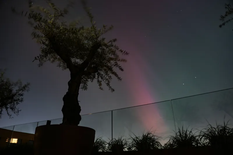 Northern Light in London