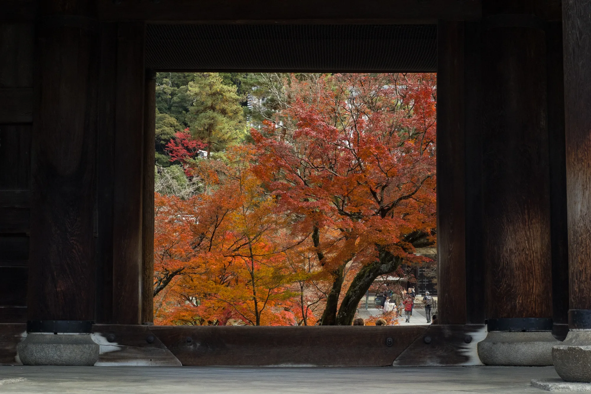 Kyoto