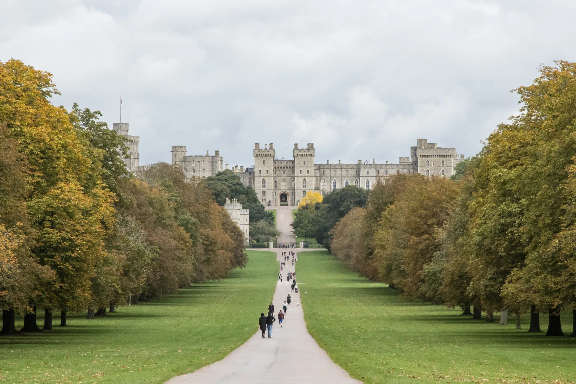 Windsor